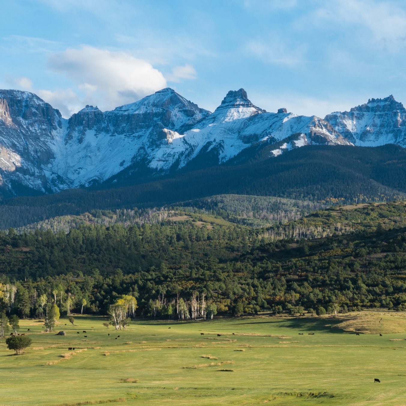 Protecting land