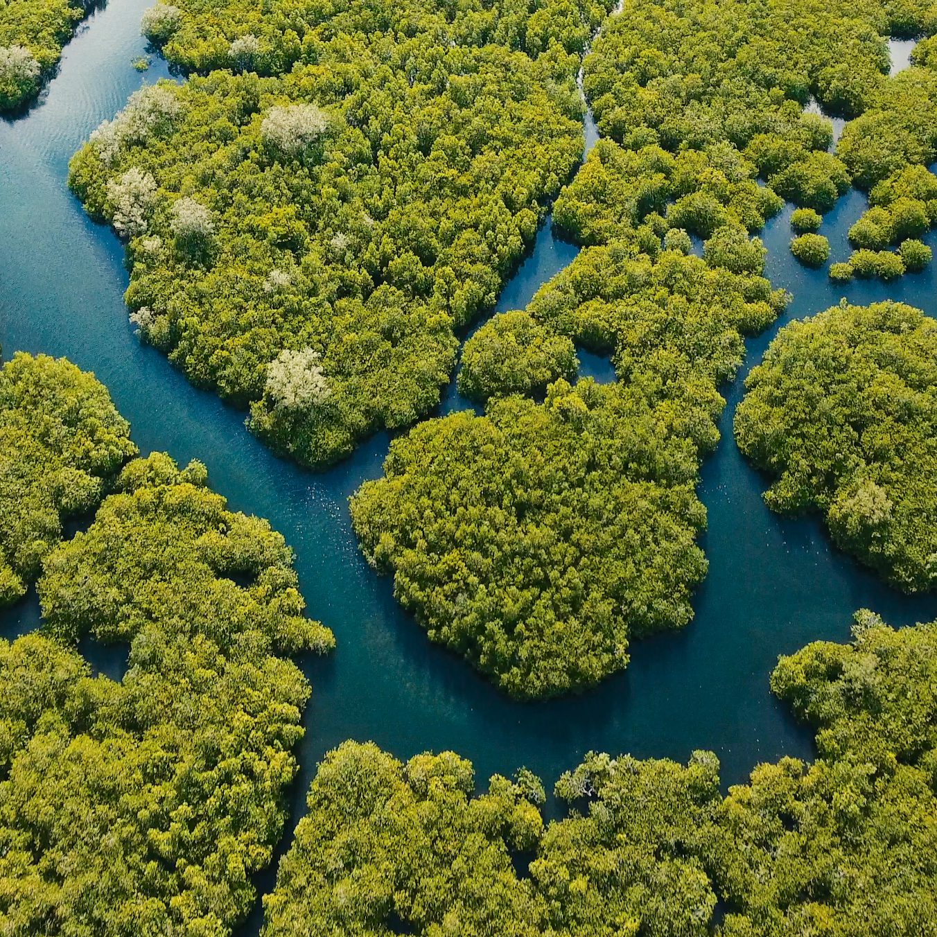 Protecting air and water
